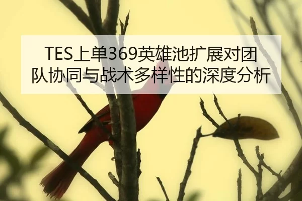 TES上单369英雄池扩展对团队协同与战术多样性的深度分析